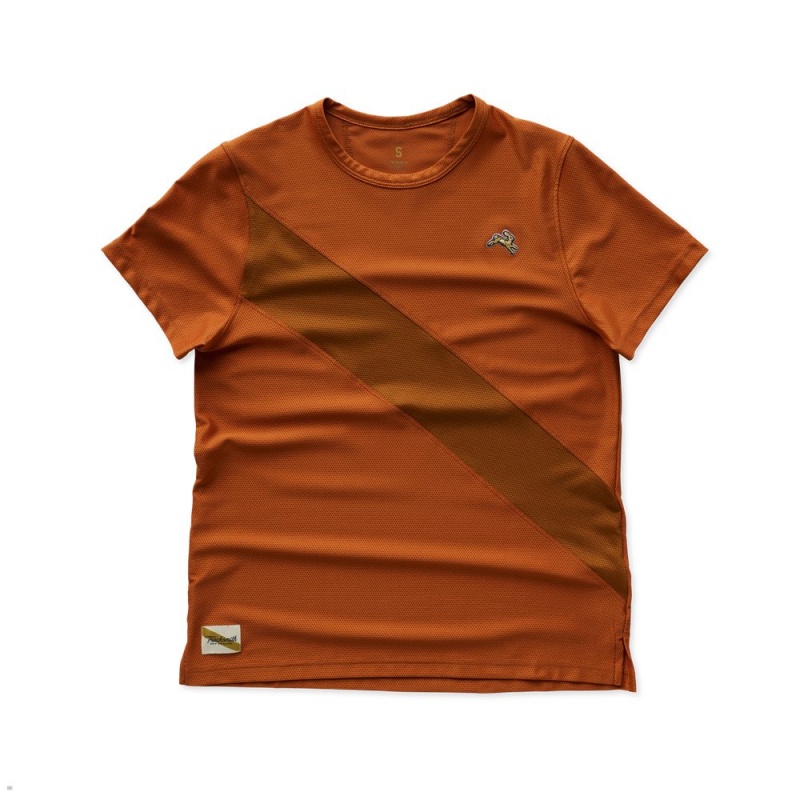 T-Shirt Tracksmith Van Cortlandt Marron Femme France | PWW-70514019