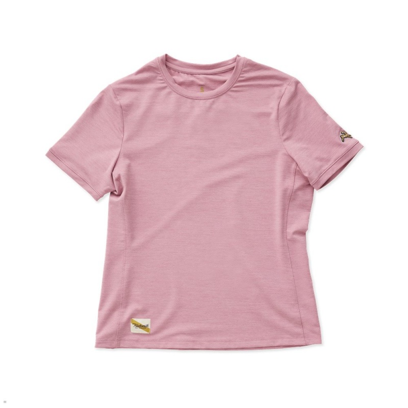 T-Shirt Tracksmith Session Rose Femme France | KZG-89364557