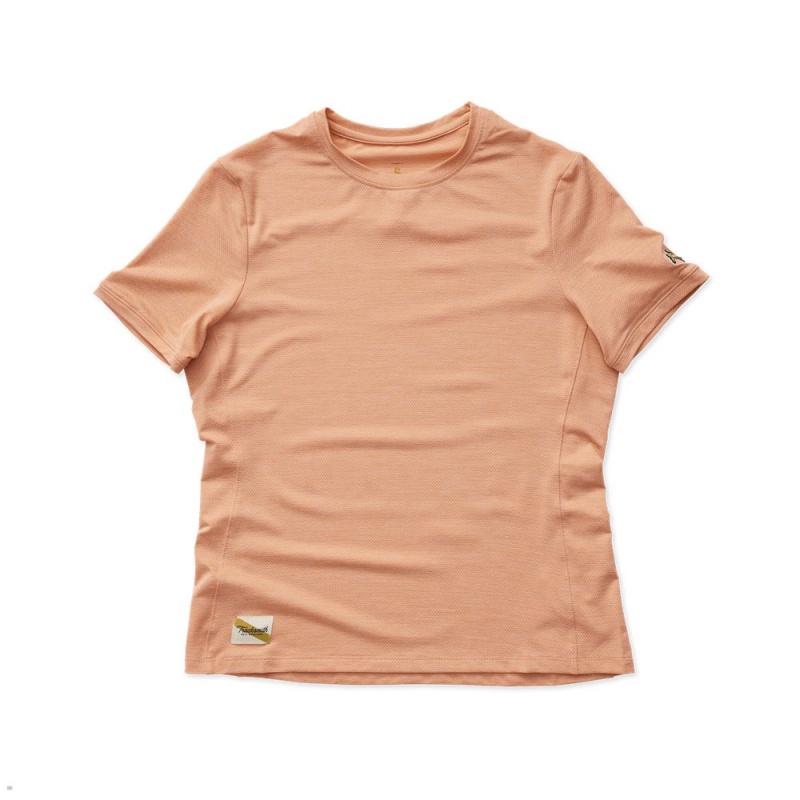 T-Shirt Tracksmith Session Orange Femme France | MBB-55932538