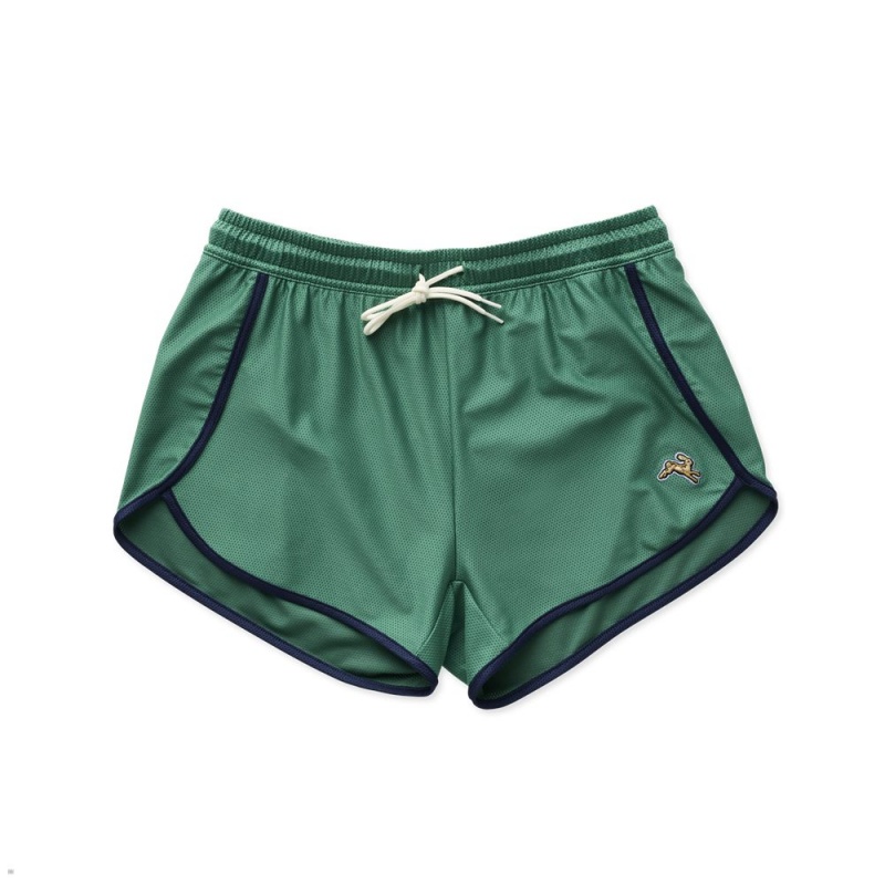 Short Tracksmith Van Cortlandt Vert Femme France | ODH-50517402