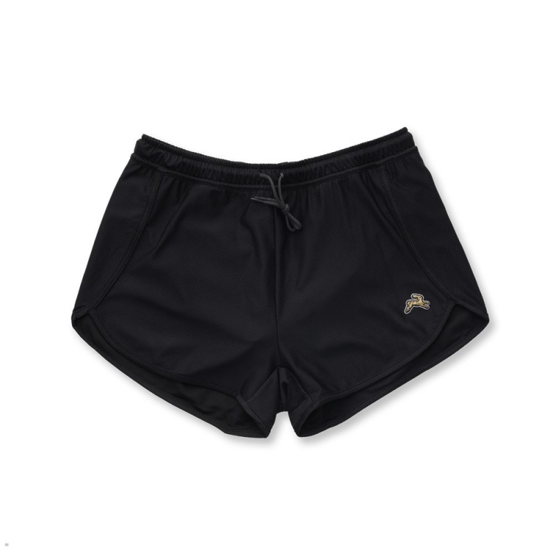 Short Tracksmith Van Cortlandt Noir Femme France | ZYU-81067369