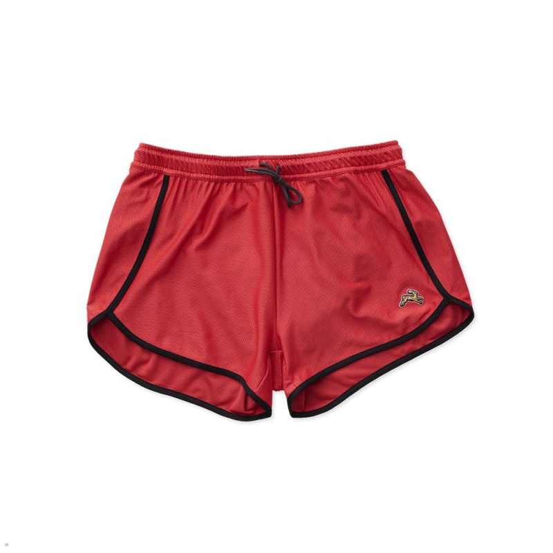 Short Tracksmith Van Cortlandt Rouge Femme France | ZVZ-83057945