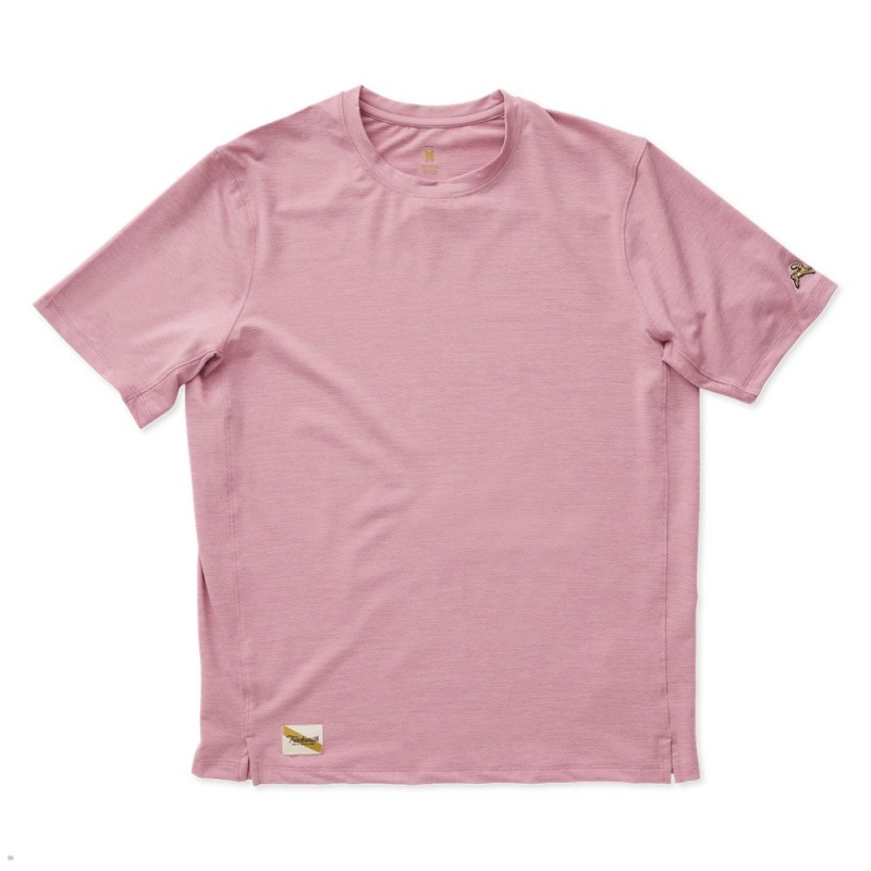 T-Shirt Tracksmith Session Rose Homme France | TVP-95644024