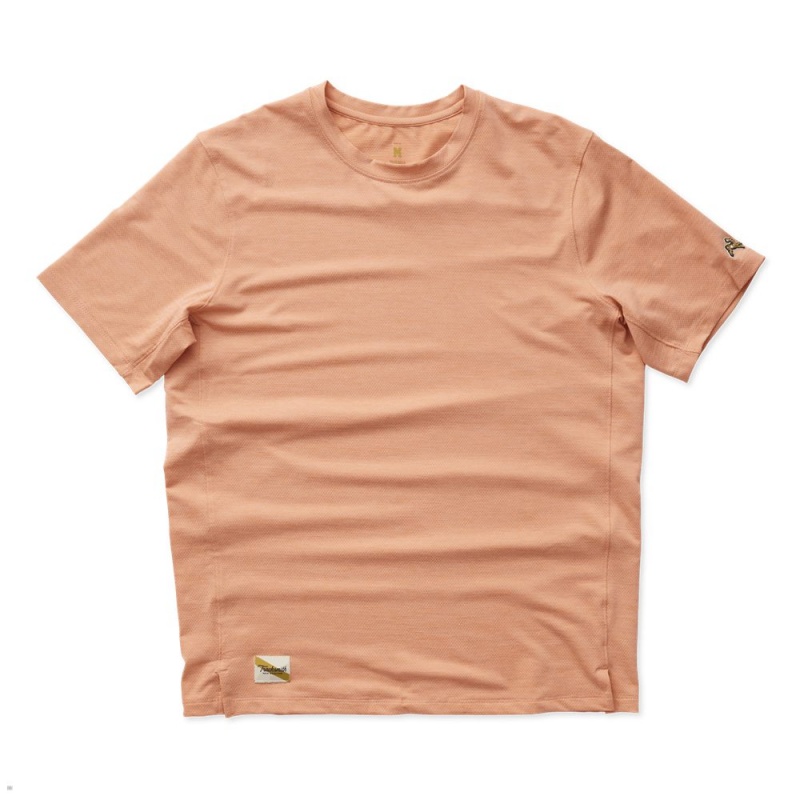 T-Shirt Tracksmith Session Orange Homme France | PIZ-83148160