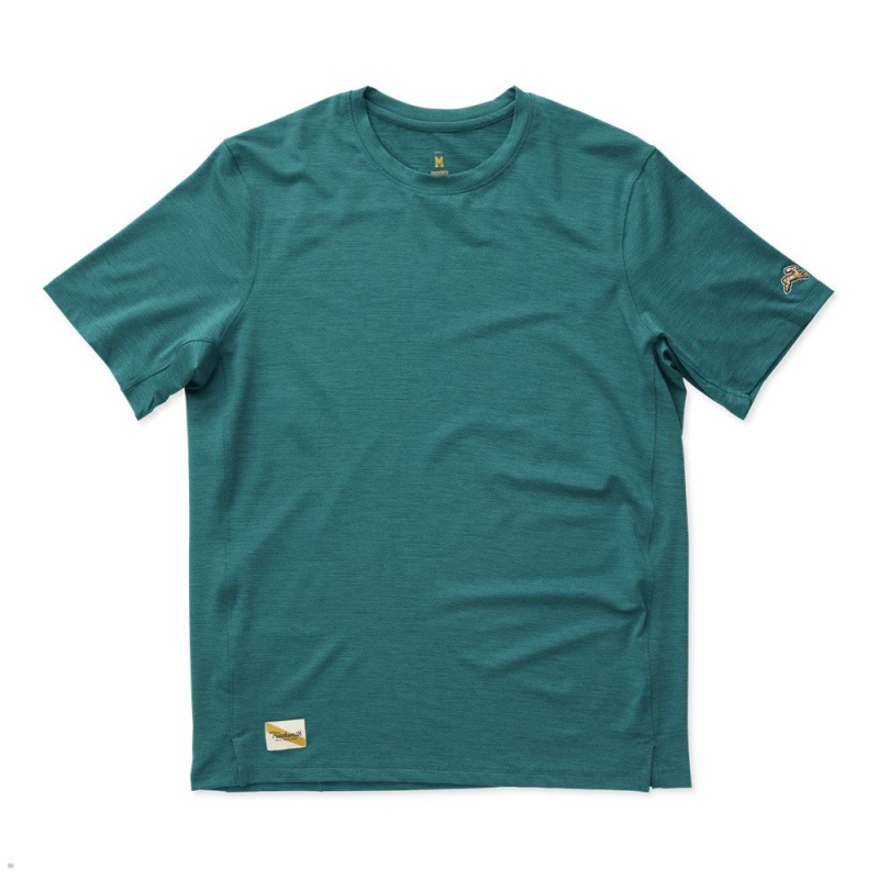 T-Shirt Tracksmith Session Vert Homme France | AJG-71667929