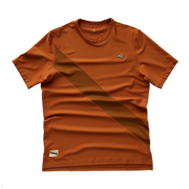 T-Shirt Tracksmith Van Cortlandt Marron Homme France | ZNG-24059223