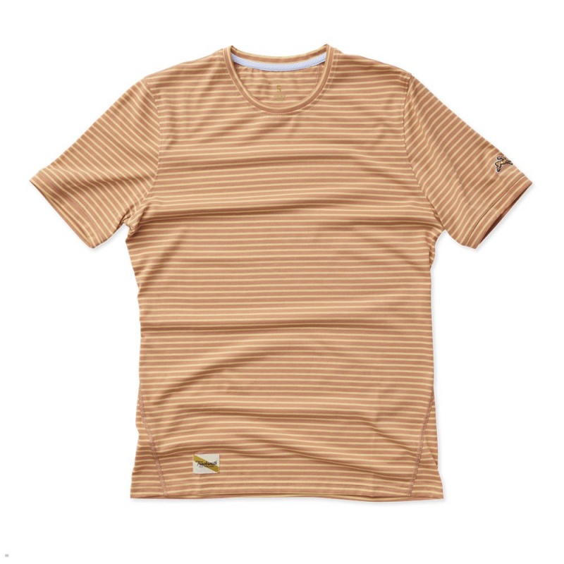 T-Shirt Tracksmith Horizon Marron Homme France | CCA-77096111