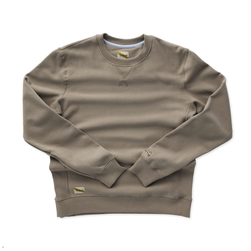 Sweatshirt Tracksmith Trackhouse Crew Kaki Homme France | AGC-85581905