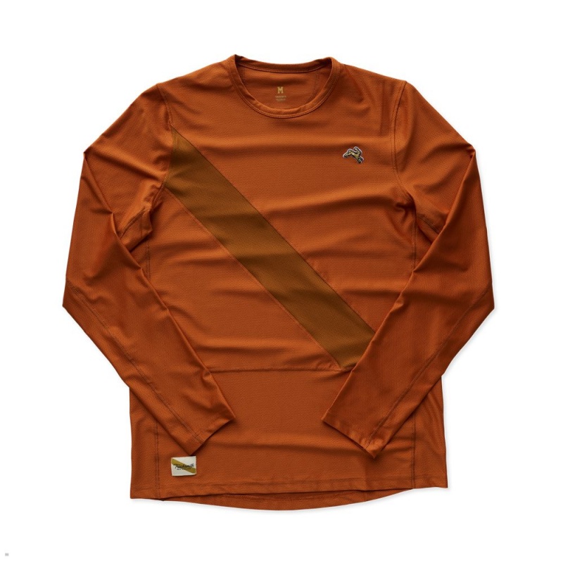 Chemises Tracksmith Van Cortlandt Long Sleeve Marron Homme France | MSB-42676288