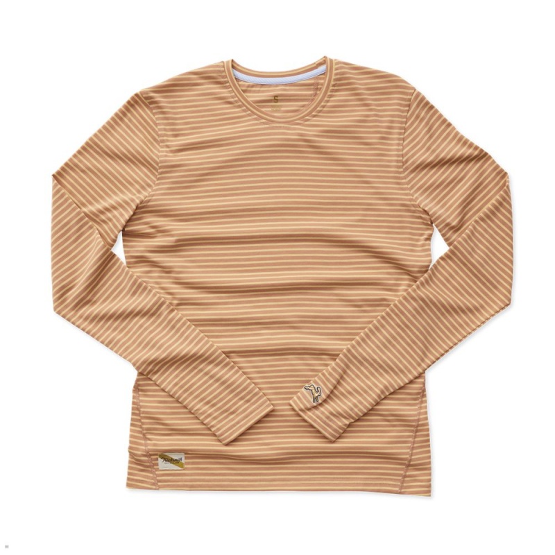 Chemises Tracksmith Horizon Long Sleeve Orange Homme France | CXB-39118284