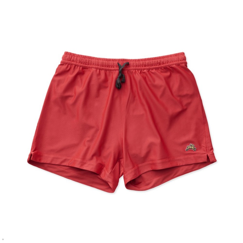 Short Tracksmith Van Cortlandt Grand Rouge Homme France | CNF-48704373