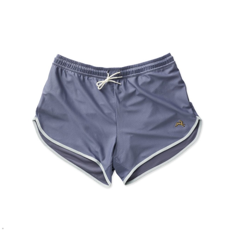 Short Tracksmith Van Cortlandt Bleu Grise Homme France | YKJ-78609505