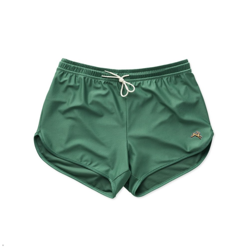 Short Tracksmith Van Cortlandt Vert Homme France | KOG-74989080