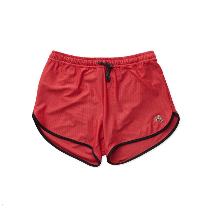 Short Tracksmith Van Cortlandt Rouge Homme France | DUZ-52879765