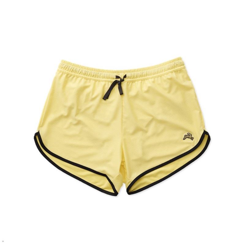 Short Tracksmith Van Cortlandt Jaune Homme France | UXN-32186835