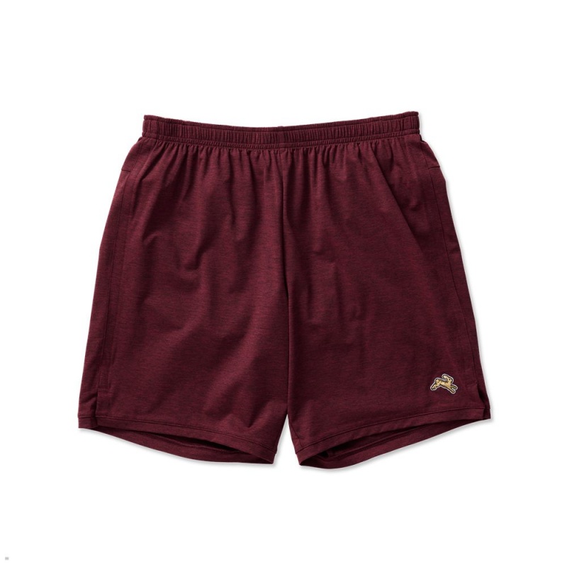 Short Tracksmith Session Bordeaux Homme France | EEC-95346094