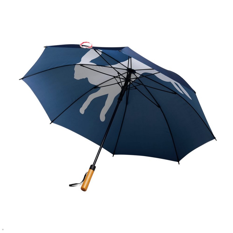 Autres Accessoires Tracksmith Umbrella Bleu France | UHC-19389924